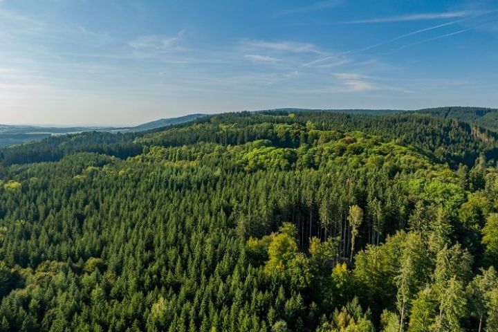 Land for sale, 995 m2