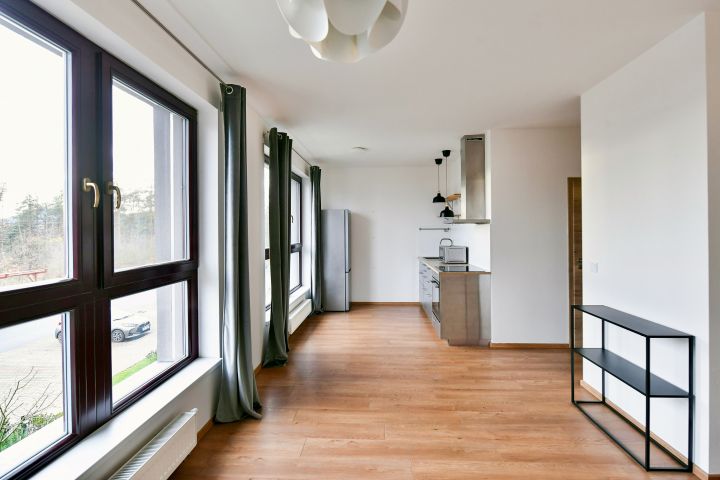 Flat for rent 1+kk